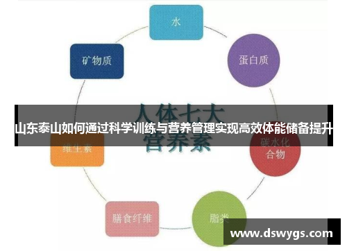 山东泰山如何通过科学训练与营养管理实现高效体能储备提升